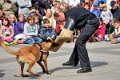 Polizeishow   047